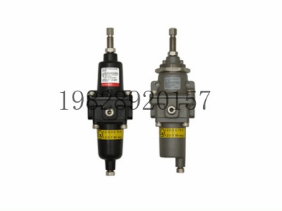 11-4SN（1/4“）印度Shavo空气滤清器减压阀图2