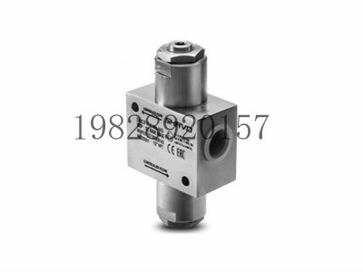 SBDFR印度Shavo快速排气阀1/4“图4