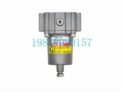 SF37空气滤清器Shavo印度不锈钢（1/2“，3/4”）图4