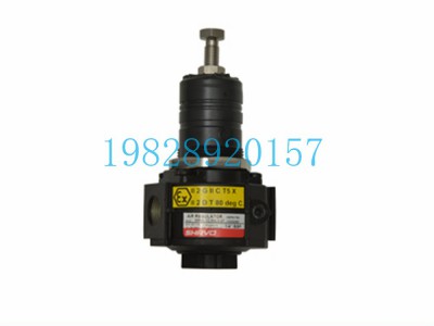 SR60减压阀Shavo印度Vayu标准系列图5