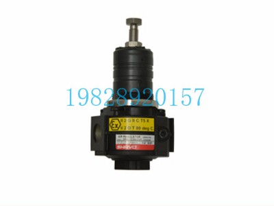 SR60减压阀Shavo印度Vayu标准系列图2