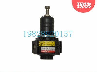 SR60减压阀Shavo印度Vayu标准系列图3