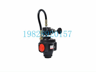 SR18减压阀Shavo印度高流量系列图2