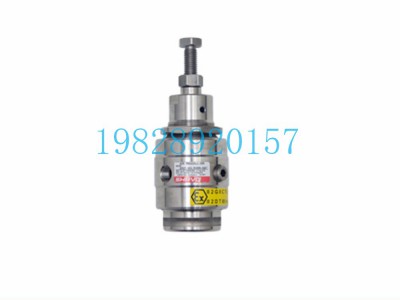 SR27减压阀不锈钢Shavo印度图2