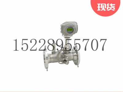 E+H超声波流量计G300图3