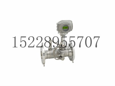 E+H超声波流量计G300图4