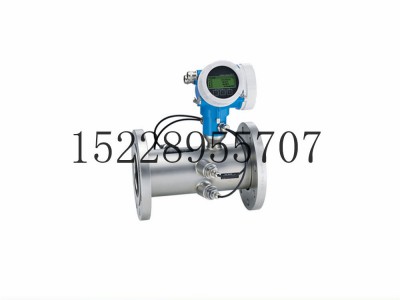 E+H超声波流计量B200图3