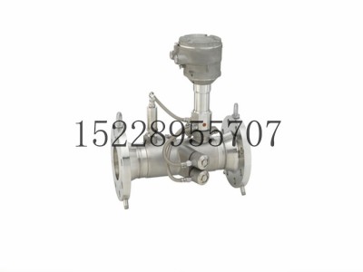 E+H超声波流计量G 500图2