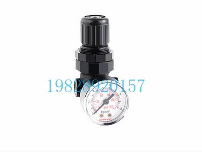 SR07印度Shavo减压阀大型系列（G1/8,G1/4）图2