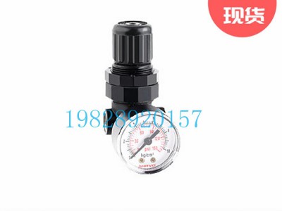 SR07印度Shavo减压阀大型系列（G1/8,G1/4）图3