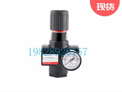 SR17印度Shavo减压阀大型系列图3