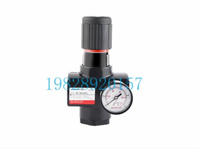 SR17印度Shavo减压阀大型系列图4