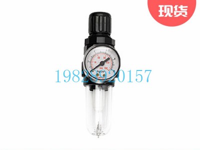 SB07印度Shavo减压阀微型系列（G1/8,1/4）图3