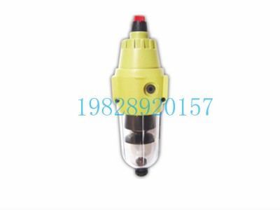 SB02印度Shavo空气过滤减压阀图2