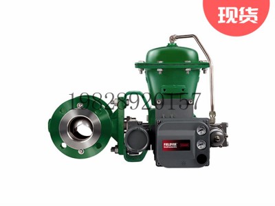 V150法兰控制阀Fisher费希尔Vee-Ball图3