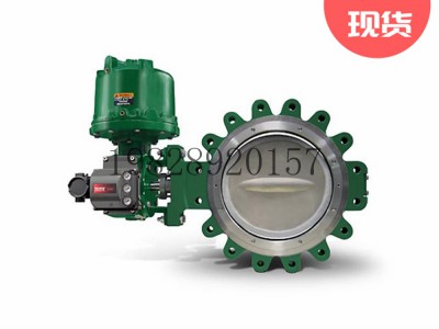 8532高性能蝶阀防火且低温Fisher费希尔艾默生图3