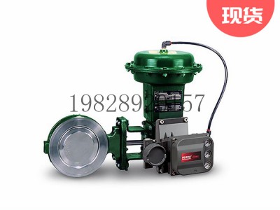 8560高性能蝶阀可选不锈钢材质Fisher费希尔图3