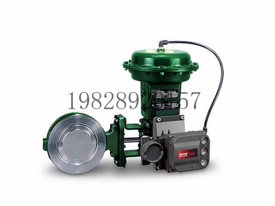 8560高性能蝶阀可选不锈钢材质Fisher费希尔图5