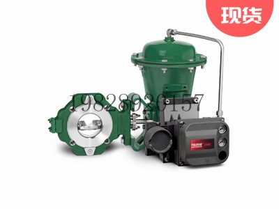 8580高性能蝶阀可选不锈钢材质Fisher费希尔图3