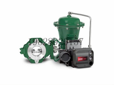 8580高性能蝶阀可选不锈钢材质Fisher费希尔图4