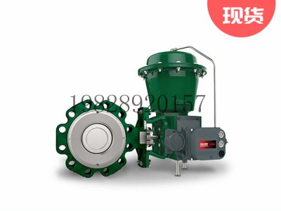 8590高性能蝶阀可选不锈钢材质Fisher费希尔图3