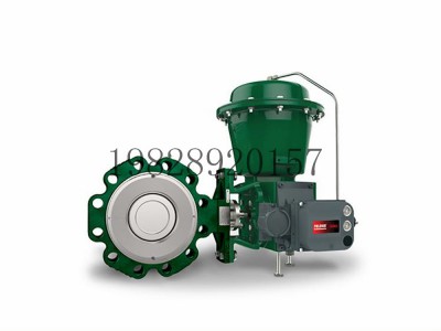 8590高性能蝶阀可选不锈钢材质Fisher费希尔图4