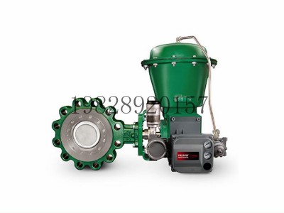 A11高性能蝶阀可选不锈钢材质Fisher费希尔图2