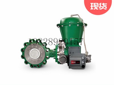 A11高性能蝶阀可选不锈钢材质Fisher费希尔图3