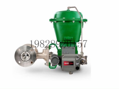 CV500偏心塞阀可选不锈钢材质Fisher费希尔图2