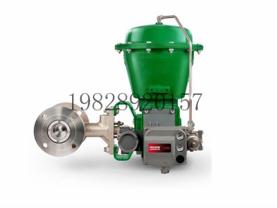 CV500偏心塞阀可选不锈钢材质Fisher费希尔图4