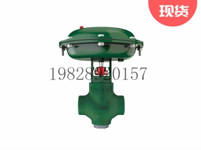 D2T FloPro控制阀碳钢材质Fisher费希尔图3