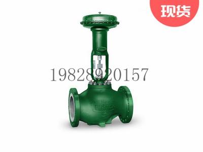 easy-e EW系列可选不锈钢材质Fisher费希尔图3