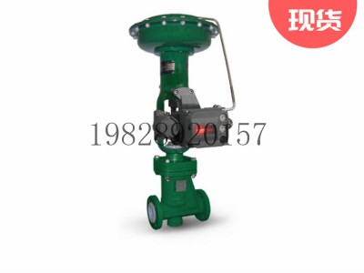 RSS LinedGlobe阀延性铸铁Fisher费希尔图3