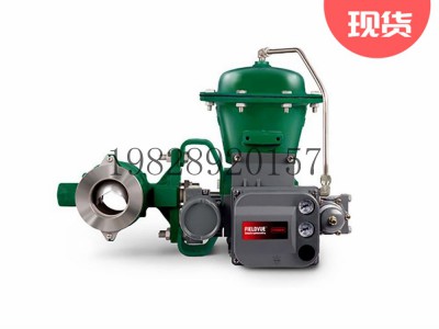 V200控制阀Fisher费希尔Vee-Ball分段式球阀图3