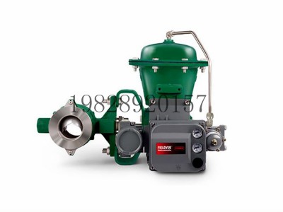 V200控制阀Fisher费希尔Vee-Ball分段式球阀图5