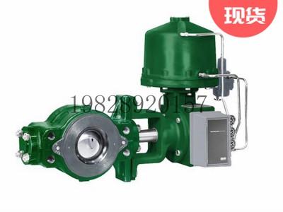 V250控制阀Fisher费希尔节流球阀图3