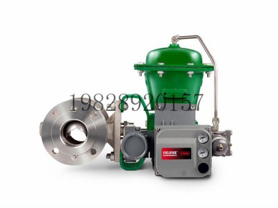 V300法兰控制阀Fisher费希尔Vee-Ball图2