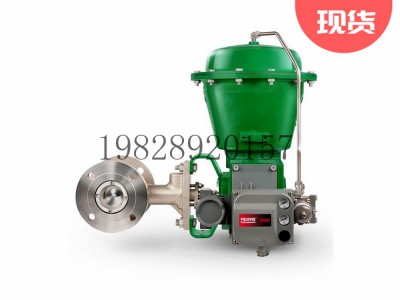 V500偏心塞阀可选不锈钢Fisher费希尔图3