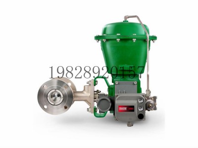 V500偏心塞阀可选不锈钢Fisher费希尔图5