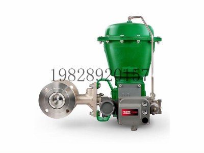 V500偏心塞阀可选不锈钢Fisher费希尔图4