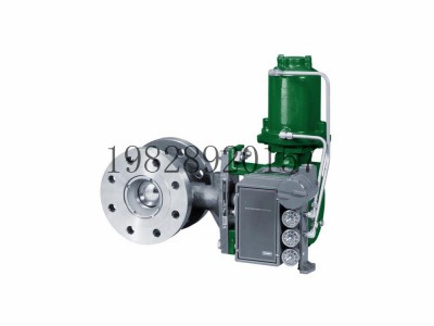 3620JP 电动气动定位器Fisher费希尔机械式图5