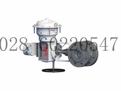 美国flowserve福斯Valtek偏心塞阀MaxFlo4图3