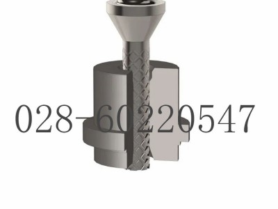 福斯Valtek汽蚀溶液控制阀Sidewinder图3