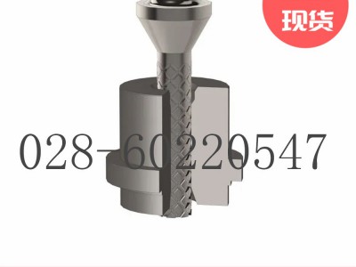 福斯Valtek汽蚀溶液控制阀Sidewinder图4