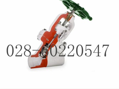 美国福斯Edward截止阀Y型栓接阀盖图5