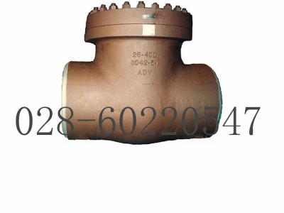 美国福斯Anchor/Darling摆动止回阀图2