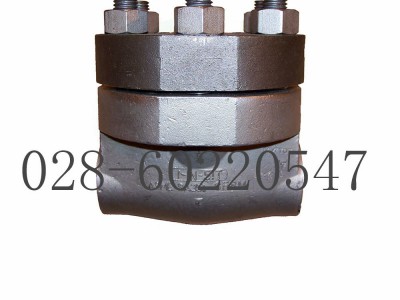 美国福斯Anchor/Darling摆动止回阀1878图3