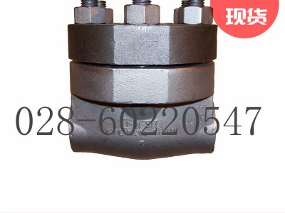 美国福斯Anchor/Darling摆动止回阀1878图4