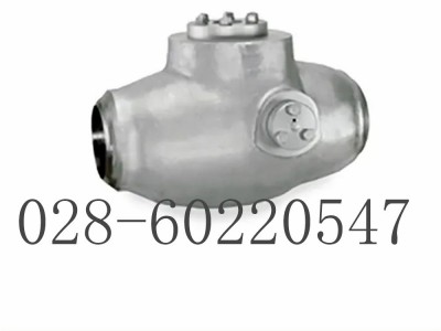 美国福斯Anchor/Darling斜瓣止回阀图2