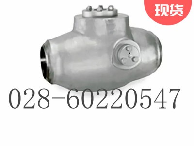 美国福斯Anchor/Darling斜瓣止回阀图3